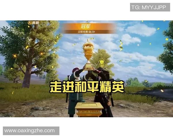 电竞新闻专访赵秀英揭秘和平精英成功背后的策略与创新之路